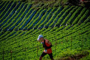 BIB: 
                            <button type="button" onclick="openModal(19160853)" class="btn btn-primary btn-sm float-right btn-popup" data-toggle="modal" data-target=".modal-high-quality">
                        <i class="fas fa-shopping-cart"></i> Add to Cart
                    </button>
                                            <button type="button" onclick="isThisMe(19160853, true)" class="btn btn-success btn-sm float-right btn-popup btn-isme hidden" data-toggle="tooltip" data-placement="bottom" title="นี่คือรูปของคุณใช่ไหม คลิกที่นี่เพื่อเอาเข้าอัลบั้ม">
                        <i class="fas fa-plus"></i> Add to album
                    </button>
                    <button type="button" onclick="isThisMe(19160853, false)" class="btn btn-warning btn-sm float-right btn-popup btn-isnotme hidden">
                        <i class="fas fa-ban"></i> Remove from album
                    </button>